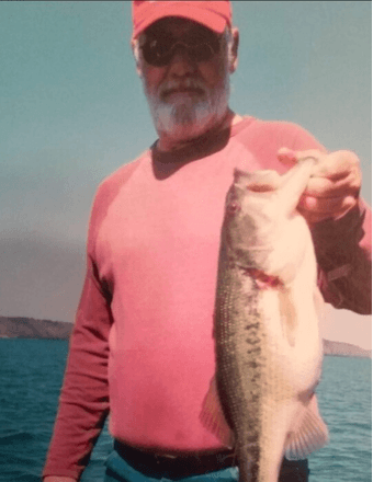 Ron Hawkins Obituary