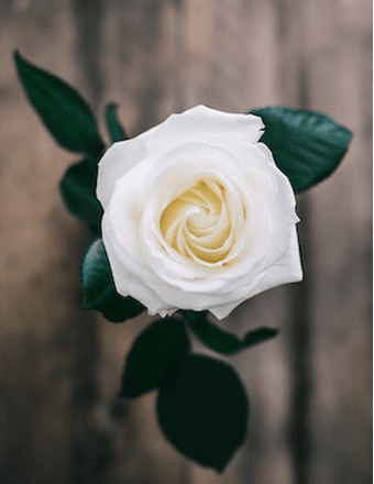 Patricia Faye "Pat" Woolfolk Hornbuckle Obituary