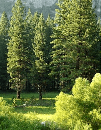 Clyde Allan Vanover Obituary